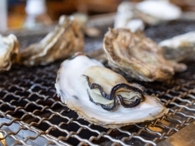 ito fukuoka Crier all-in-one short丈 Fukuoka 3]A delicious Itoshima course | Model Course | Fukuoka